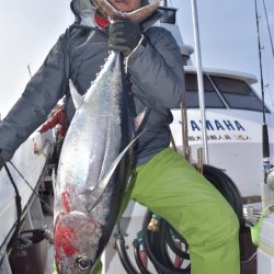 渡船屋たにぐち 釣果