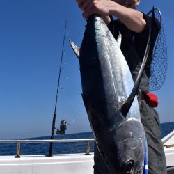 渡船屋たにぐち 釣果