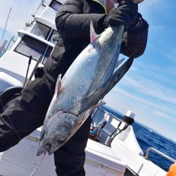 渡船屋たにぐち 釣果
