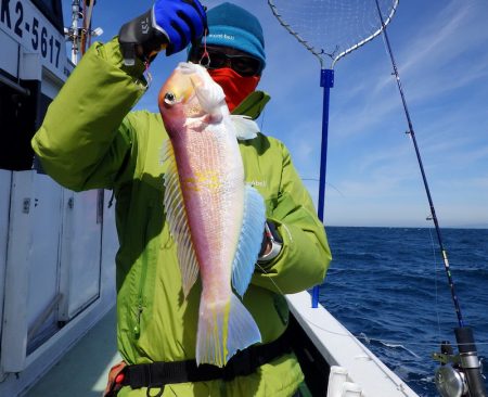 Big One　ビッグワン 釣果