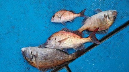 フィッシングガイド りょう 釣果