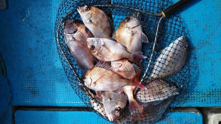 フィッシングガイド りょう 釣果