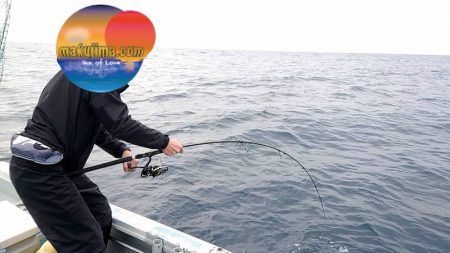 幕島丸 釣果
