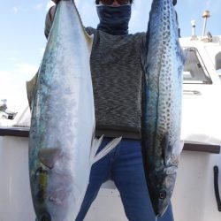 JDI Racing シールズマリンレジャー 釣果