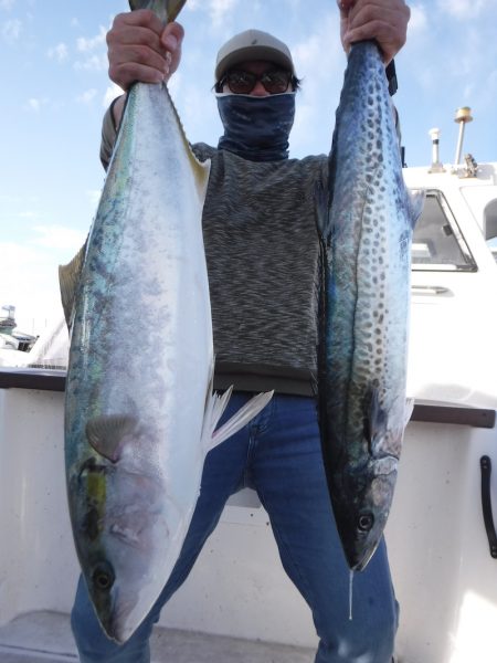 JDI Racing シールズマリンレジャー 釣果