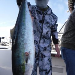 JDI Racing シールズマリンレジャー 釣果