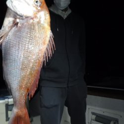 JDI Racing シールズマリンレジャー 釣果