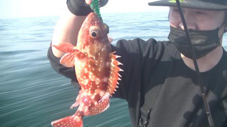 ＪＤＩ　Ｒａｃｉｎｇ　シールズマリンレジャー 釣果