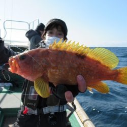 真祐丸 (しんゆうまる) 釣果