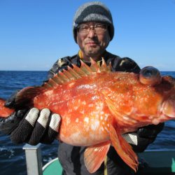 真祐丸 (しんゆうまる) 釣果