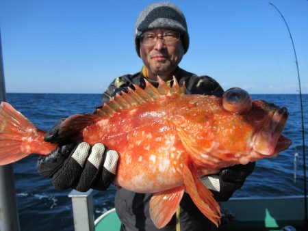 真祐丸 (しんゆうまる) 釣果