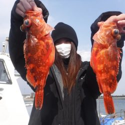 JDI Racing シールズマリンレジャー 釣果