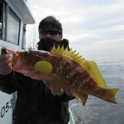 真祐丸 (しんゆうまる) 釣果