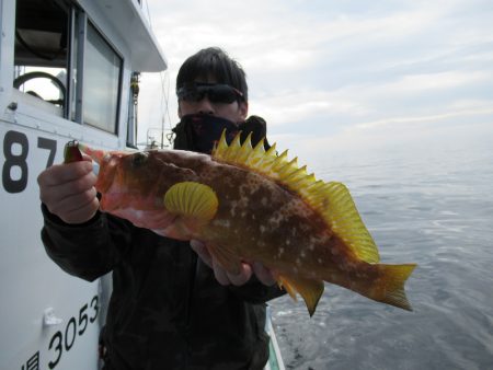 真祐丸 (しんゆうまる) 釣果