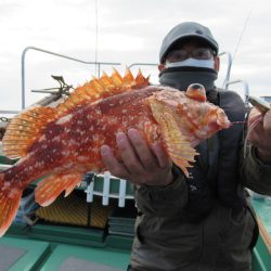 真祐丸 (しんゆうまる) 釣果