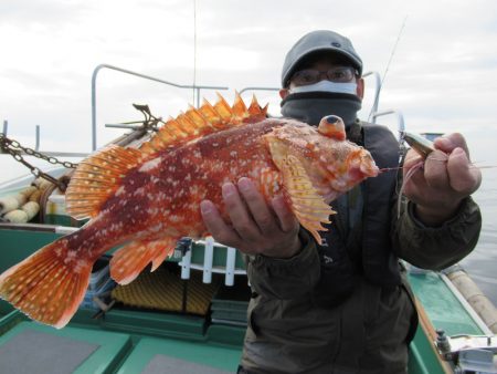 真祐丸 (しんゆうまる) 釣果