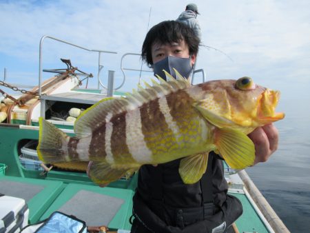 真祐丸 (しんゆうまる) 釣果