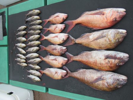 真祐丸 （しんゆうまる） 釣果