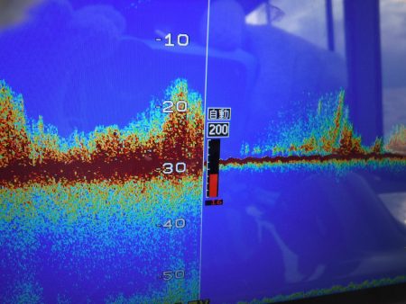 JDI Racing シールズマリンレジャー 釣果