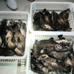 KIM Fishing Guide Service 釣果