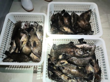 KIM Fishing Guide Ser…