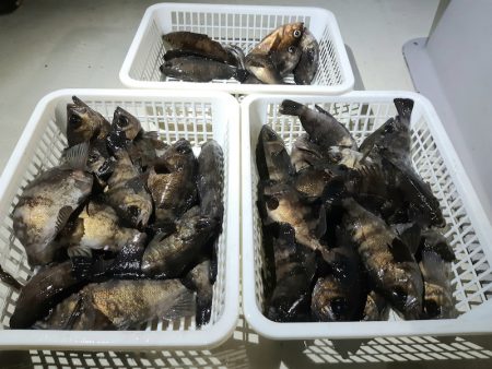 KIM Fishing Guide Ser…