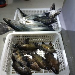 KIM Fishing Guide Service 釣果