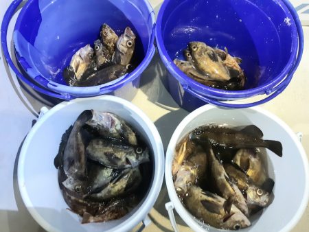 KIM Fishing Guide Ser…