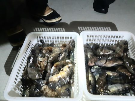 KIM Fishing Guide Ser…