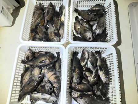 KIM Fishing Guide Ser…