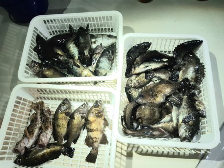 KIM Fishing Guide Ser…