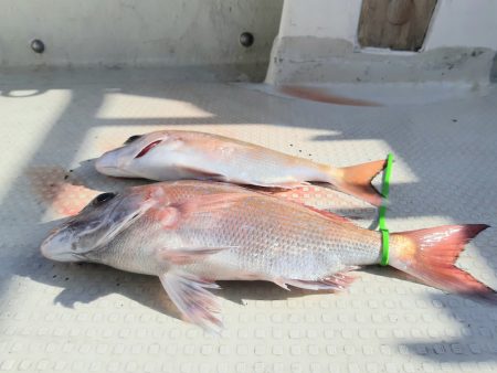 KIM Fishing Guide Ser…