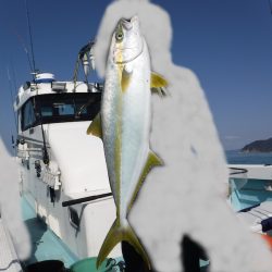 ＢｌｕｅＮｏｔｅ　Ｆｉｓｈｉｎｇ　Ｔａｘｉ 釣果