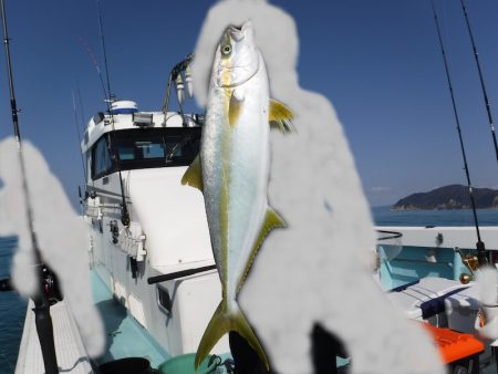 ＢｌｕｅＮｏｔｅ　Ｆｉｓｈｉｎｇ　Ｔａｘｉ 釣果