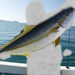 ＢｌｕｅＮｏｔｅ　Ｆｉｓｈｉｎｇ　Ｔａｘｉ 釣果