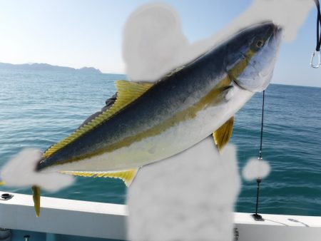 ＢｌｕｅＮｏｔｅ　Ｆｉｓｈｉｎｇ　Ｔａｘｉ 釣果