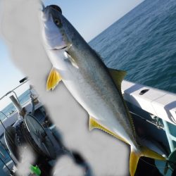 ＢｌｕｅＮｏｔｅ　Ｆｉｓｈｉｎｇ　Ｔａｘｉ 釣果