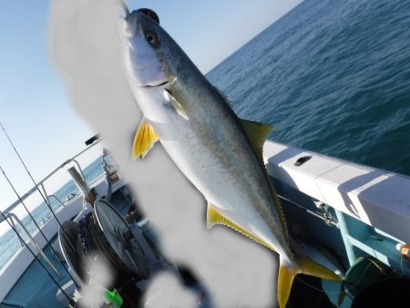 ＢｌｕｅＮｏｔｅ　Ｆｉｓｈｉｎｇ　Ｔａｘｉ 釣果