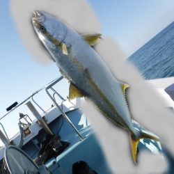 ＢｌｕｅＮｏｔｅ　Ｆｉｓｈｉｎｇ　Ｔａｘｉ 釣果