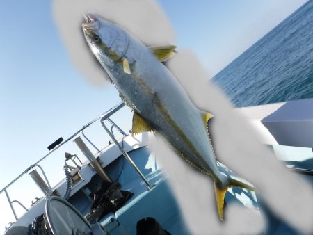 ＢｌｕｅＮｏｔｅ　Ｆｉｓｈｉｎｇ　Ｔａｘｉ 釣果