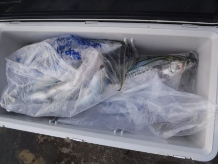 ＢｌｕｅＮｏｔｅ　Ｆｉｓｈｉｎｇ　Ｔａｘｉ 釣果