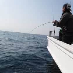 ＢｌｕｅＮｏｔｅ　Ｆｉｓｈｉｎｇ　Ｔａｘｉ 釣果