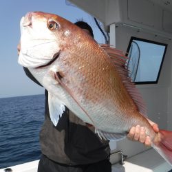 ＢｌｕｅＮｏｔｅ　Ｆｉｓｈｉｎｇ　Ｔａｘｉ 釣果