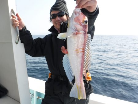 ＢｌｕｅＮｏｔｅ　Ｆｉｓｈｉｎｇ　Ｔａｘｉ 釣果