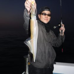 ＢｌｕｅＮｏｔｅ　Ｆｉｓｈｉｎｇ　Ｔａｘｉ 釣果