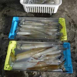 BlueNote Fishing Taxi 釣果