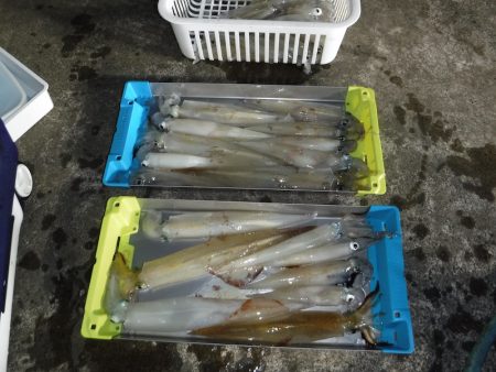 BlueNote Fishing Taxi 釣果