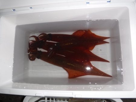 BlueNote Fishing Taxi 釣果