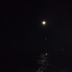 BlueNote Fishing Taxi 釣果