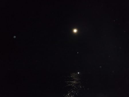 BlueNote Fishing Taxi 釣果